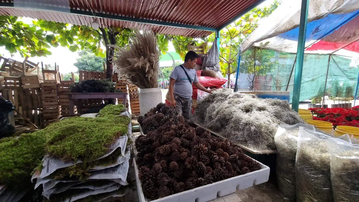 tianguis navideño 